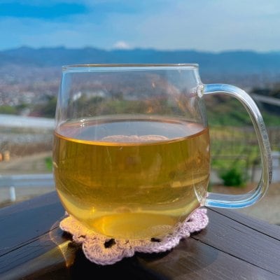 紅茶（ホット）