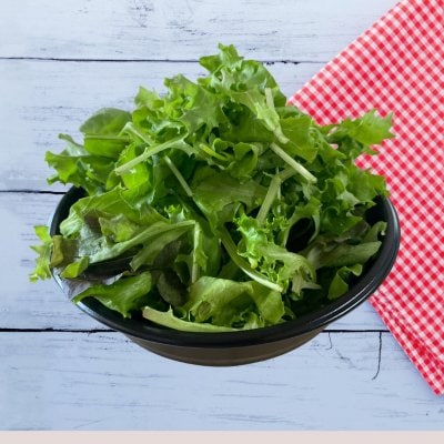 ベビーリーフサラダ（大）ドレッシング付