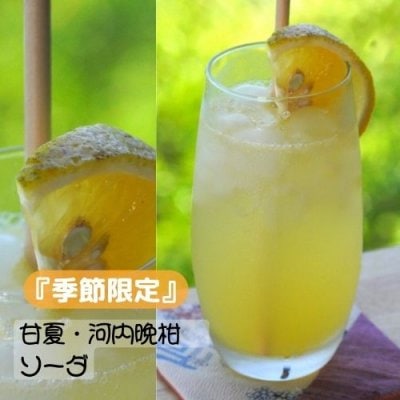 生搾り河内晩柑ソーダ