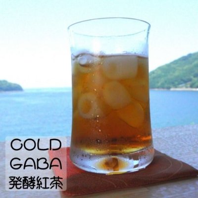 GABA発酵紅茶（COLD）