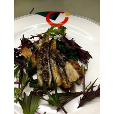 お魚料理もお肉料理も少しずつ食べたいあなたへ満足ディナーコース