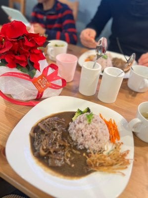 ゼロ辛スパイスカレー