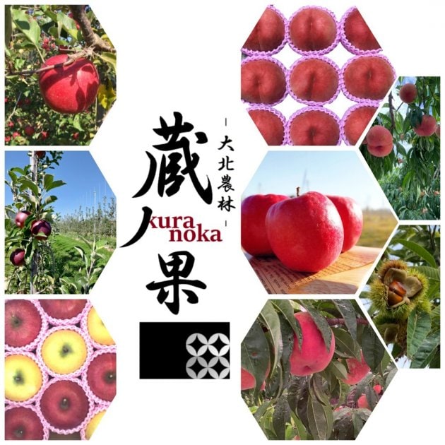 長野県安曇野の果樹園【蔵ノ果kuranoka】(りんご/桃/栗)オンライン