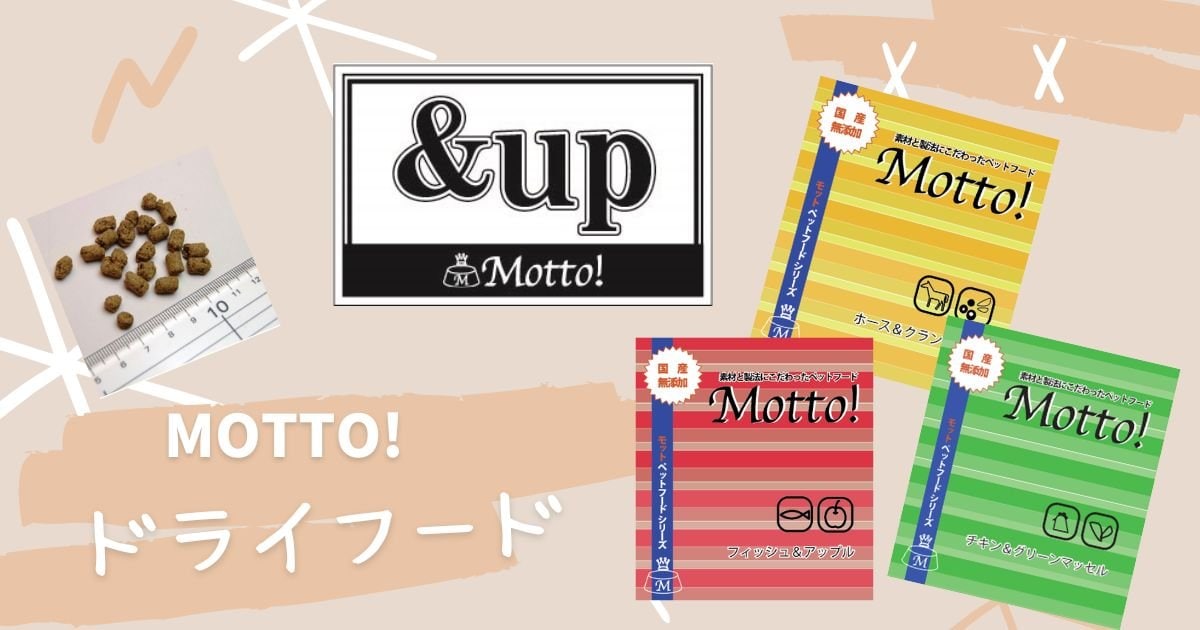 ペットと飼い主さんの健康を応援 Motto!