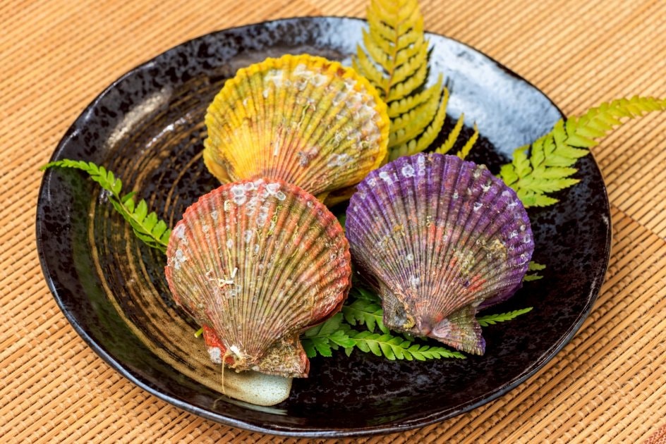 オハイの環わり】絶景巡り オハイクルージングと海鮮バーベキュー 浜