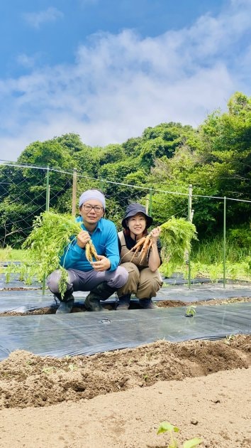 ももです‼️鹿児島県産 農薬不使用 2026年産 平戸(バラ)10kg ももです‼️鹿児島県産 農薬不使用 2026年産 平戸(バラ)10kg ももです