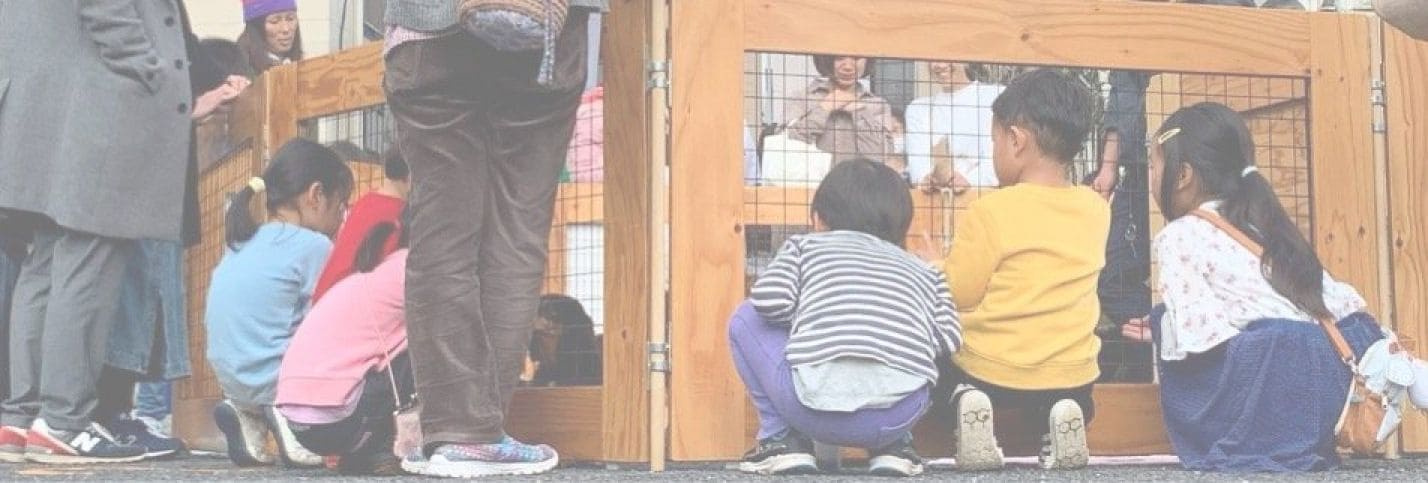 MY BEST FRIEND IS A DOG