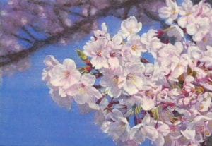 「桜花」No.1