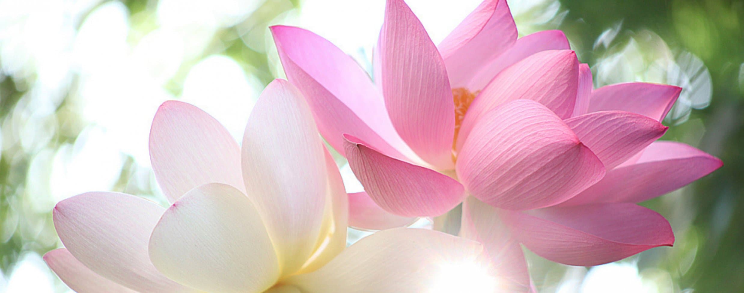 これからの新しい生き方