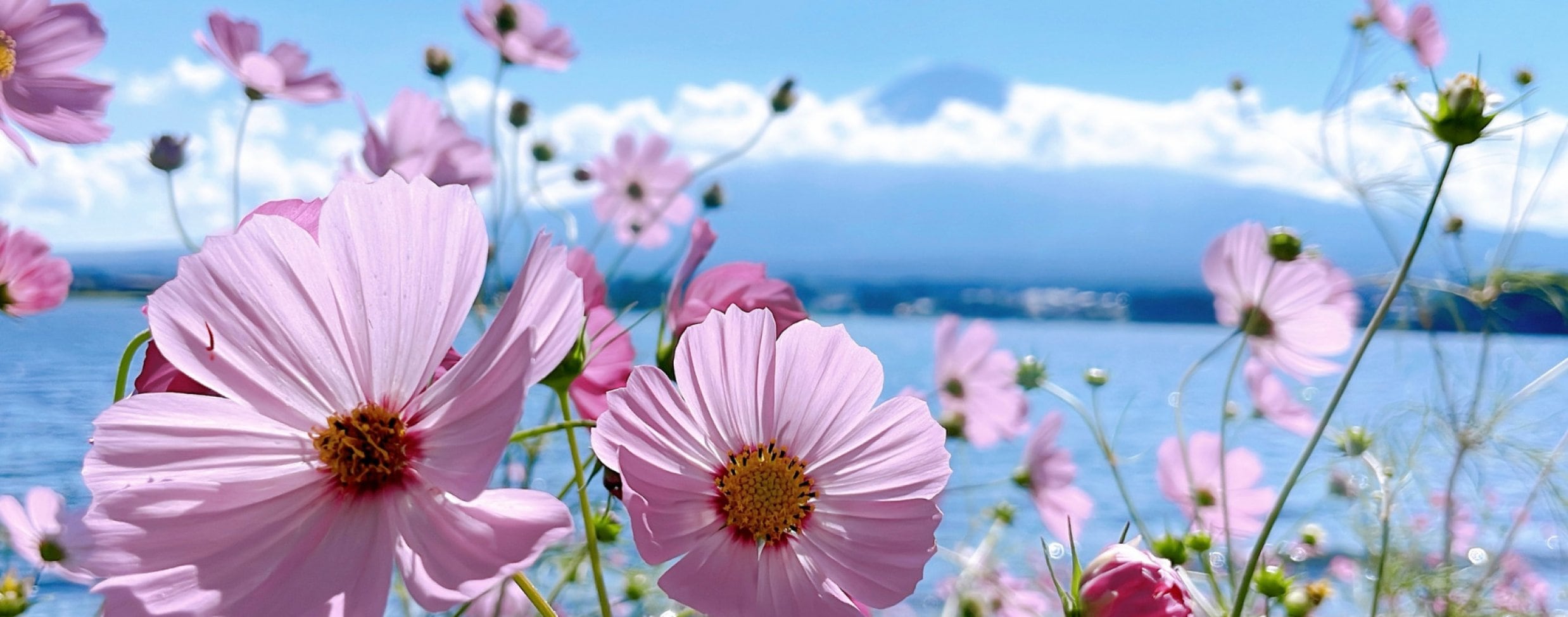 自分を大切にすることをはじめませんか？