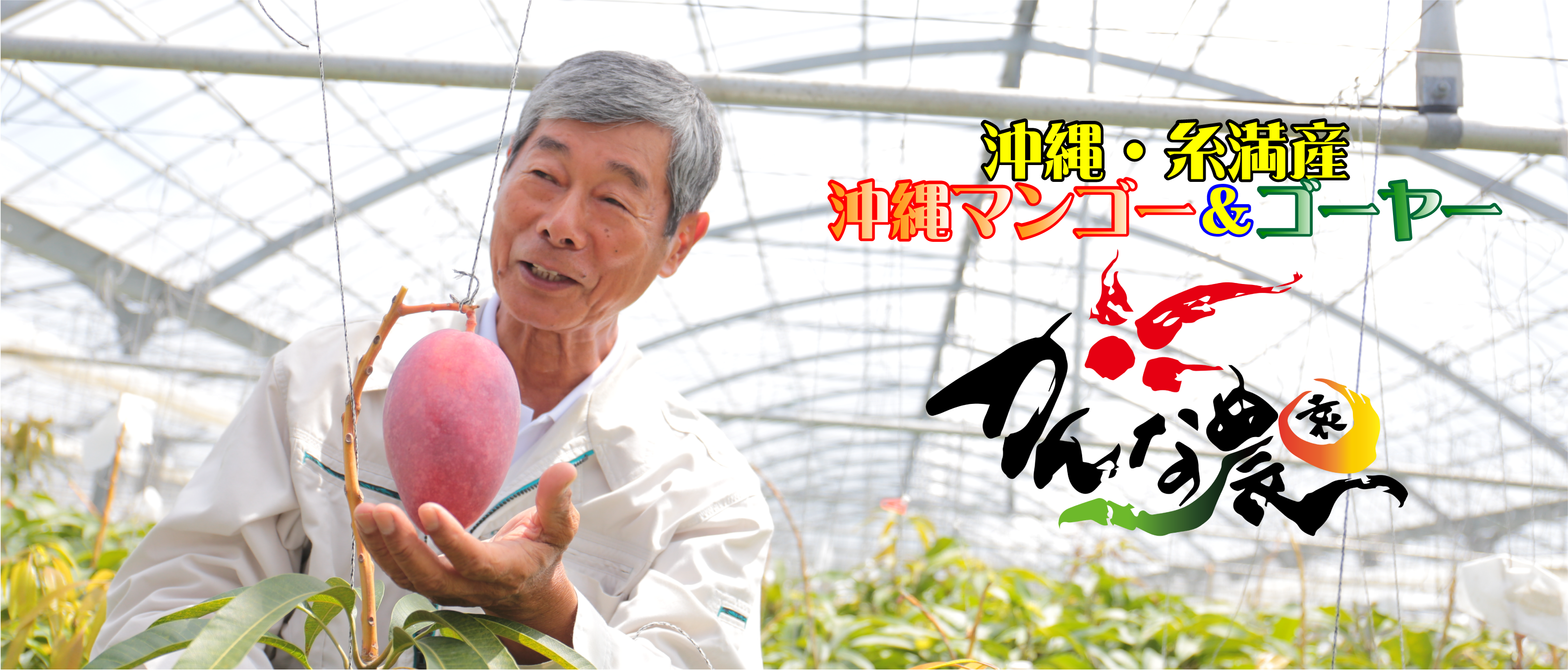 かんな農園 沖縄マンゴー