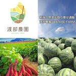 新潟の野菜お取り寄せ通販|渡部農園−WATABE FARM−
