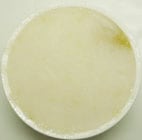 フルーツ&ジェラートさくらじま SUGAO