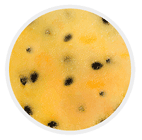 フルーツ&ジェラートさくらじま SUGAO