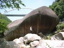 岐阜 日本酒 地酒 通販 千古乃岩 ギフト おすすめ ちごのいわ ぎふ SAKE ひやおろし