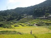 岐阜 日本酒 通販 地酒 千古乃岩  ギフト おすすめ ちごのいわ ぎふ SAKE ひやおろし