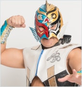 琉球ドラゴンプロレスリング グルクンマスク