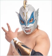 琉球ドラゴンプロレスリング ウルトラソーキ