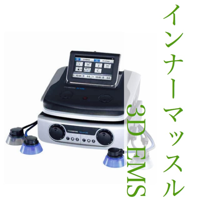 せんず鍼灸整骨院インナーマッスル３DEMS