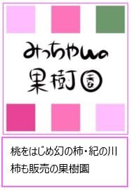 みっちゃんの果樹園