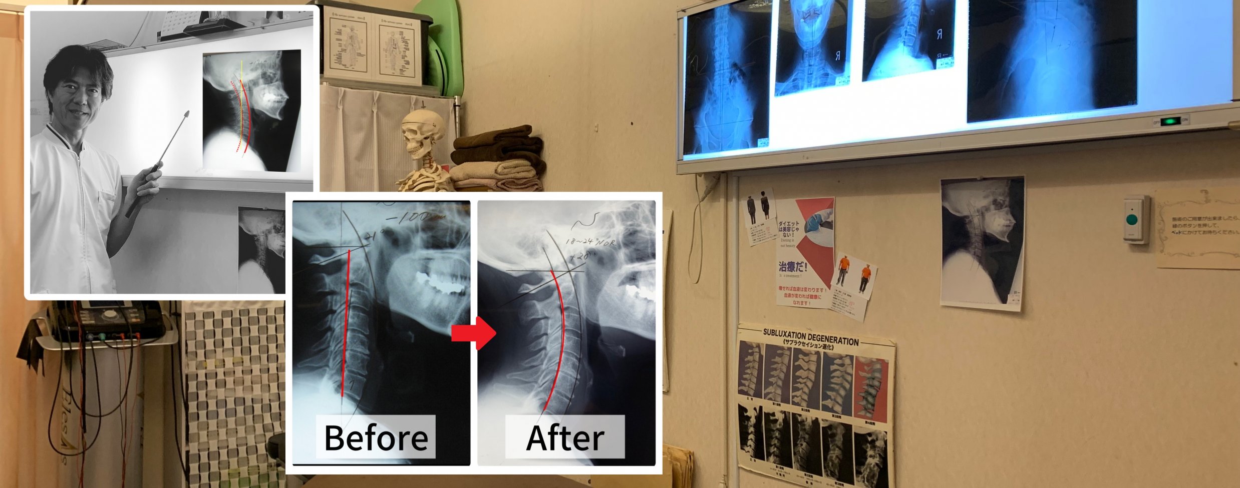 統合整体オーソバイオティック