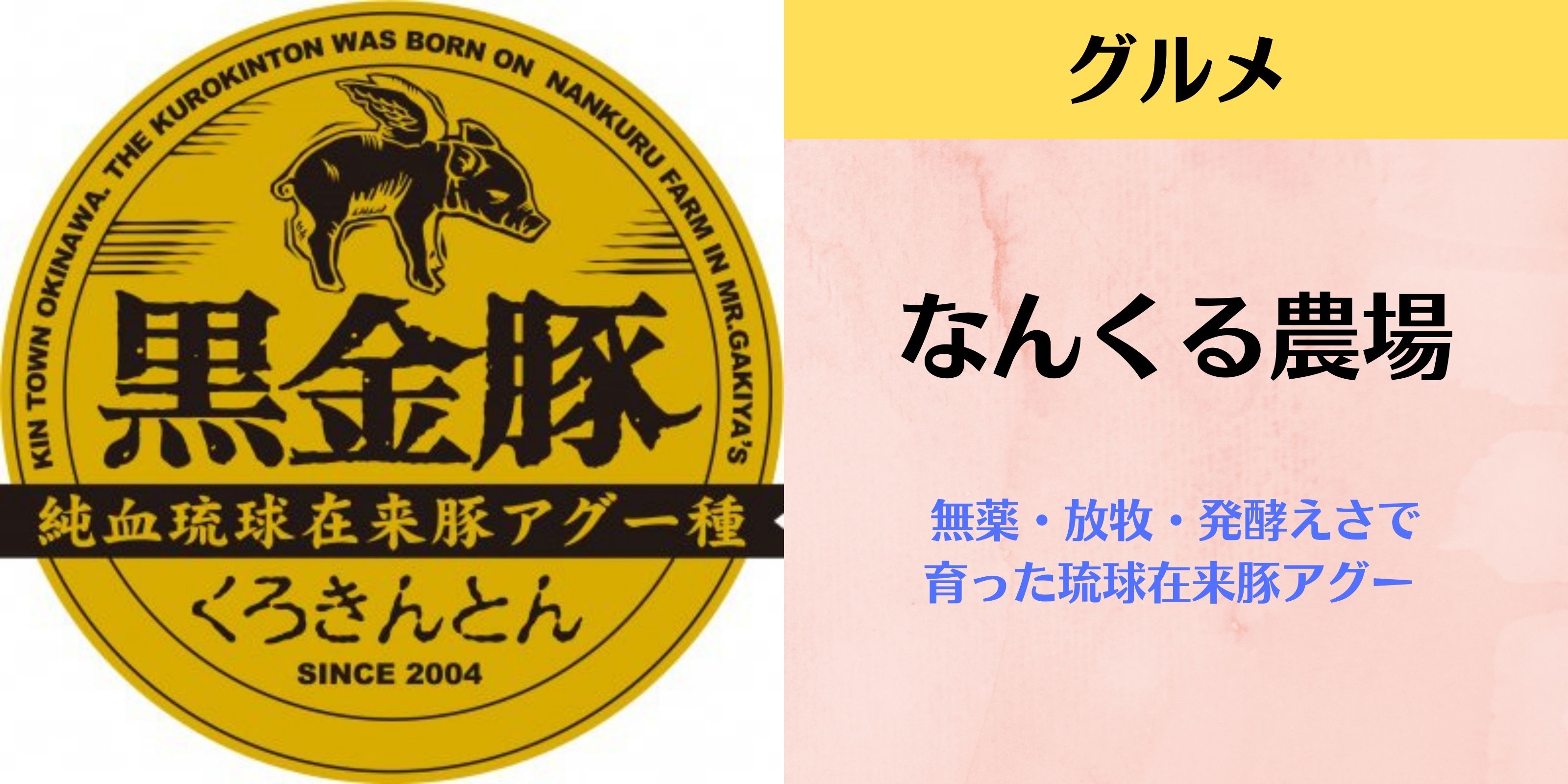 黒金豚アグー | なんくる農場 