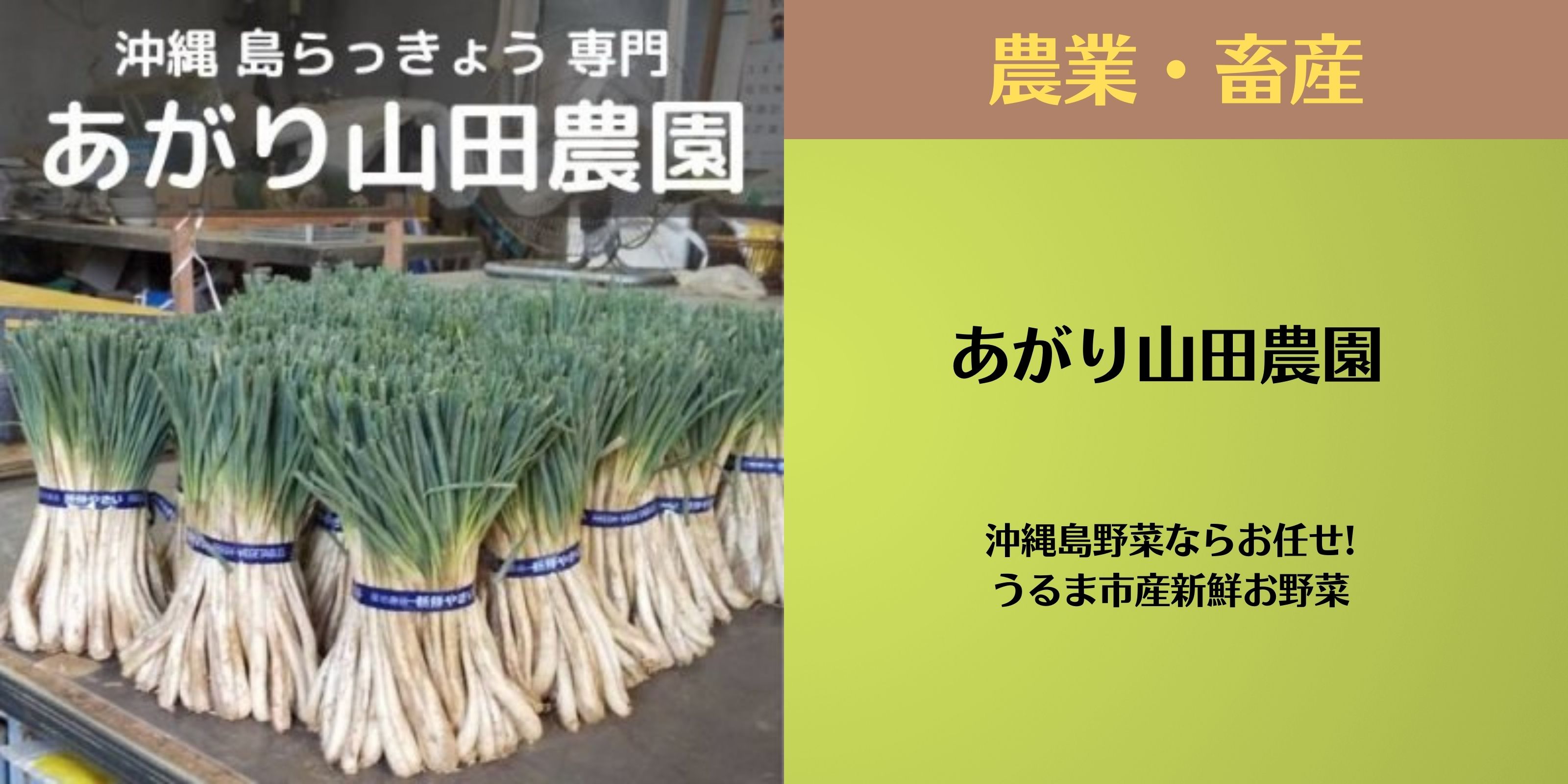 あがり山田農園 沖縄島野菜ならお任せ！うるま市産新鮮お野菜