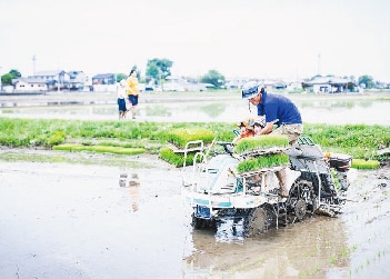 田植え_さいたま榎本農園