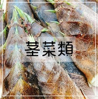 茎菜類_さいたま榎本農園