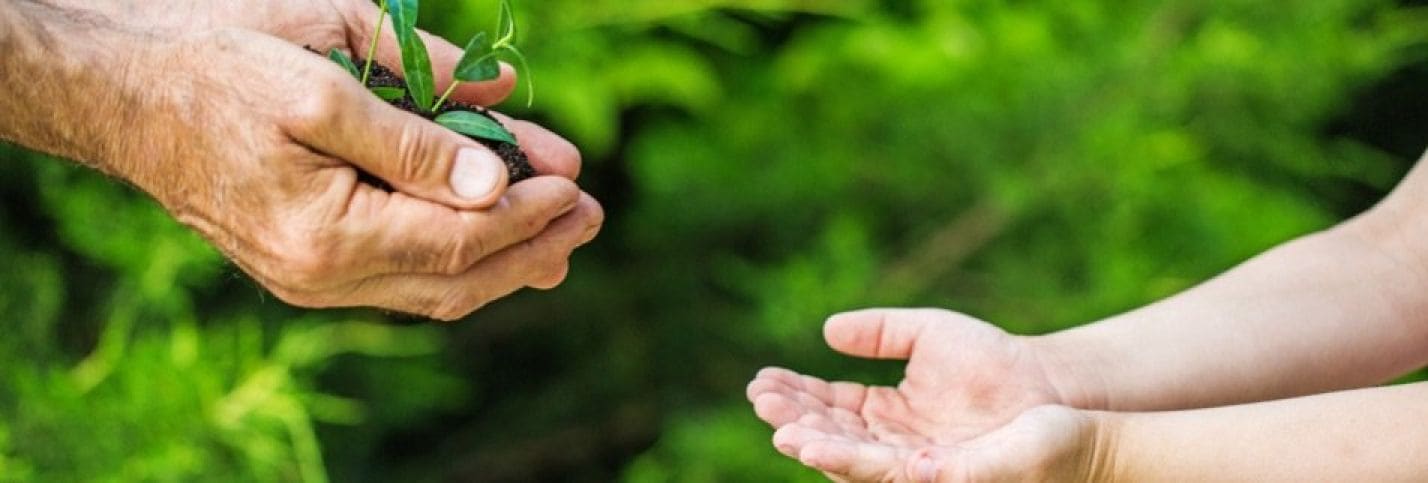 次世代へつなぐ技術と伝統