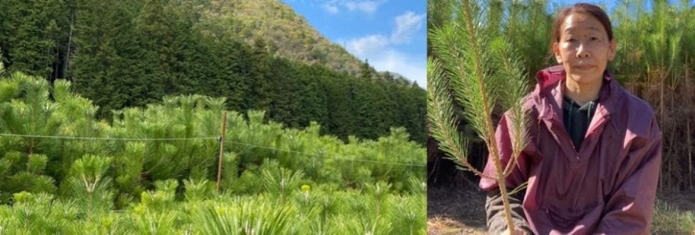 困った時のお仕事お助けwoman