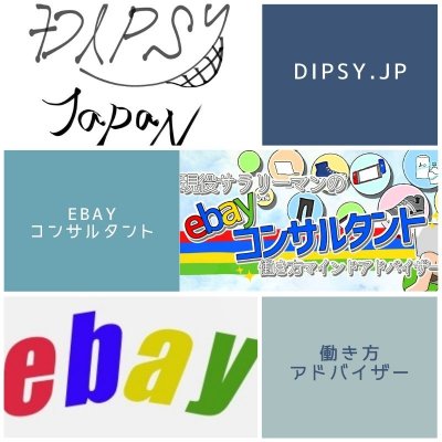 現役サラリーマンのebay輸出コンサルタント@でぃぷしーサロン。