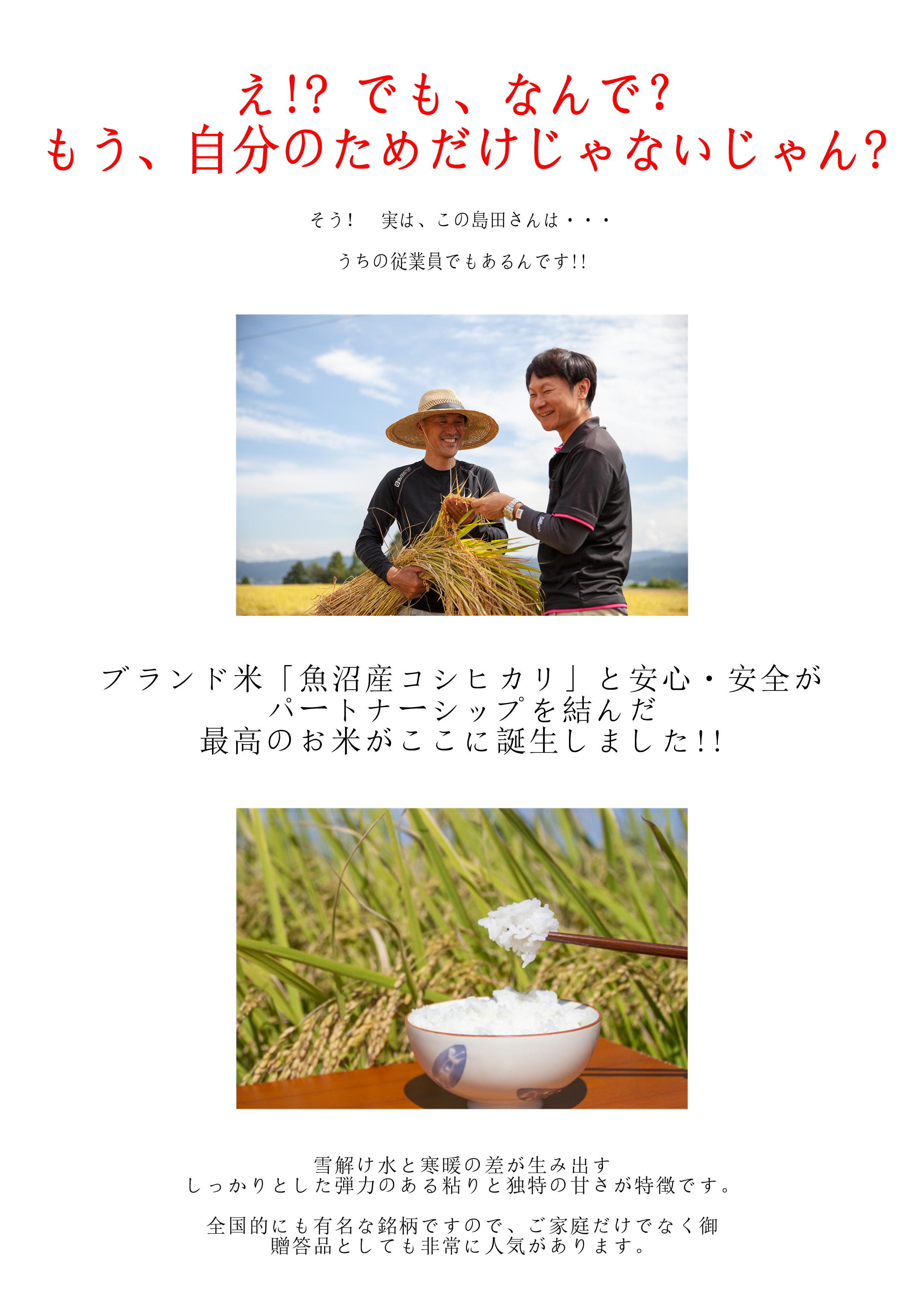 コシヒカリ 8kg｜おこめ 令7年産 (こしひかり) 本埜米 白鳥 もち米白米 