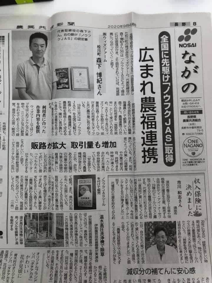 ノウフクりんご　ウィズファーム　りんご