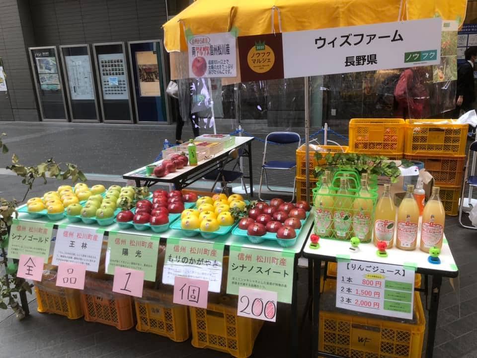 ノウフクりんご　ウィズファーム　りんご