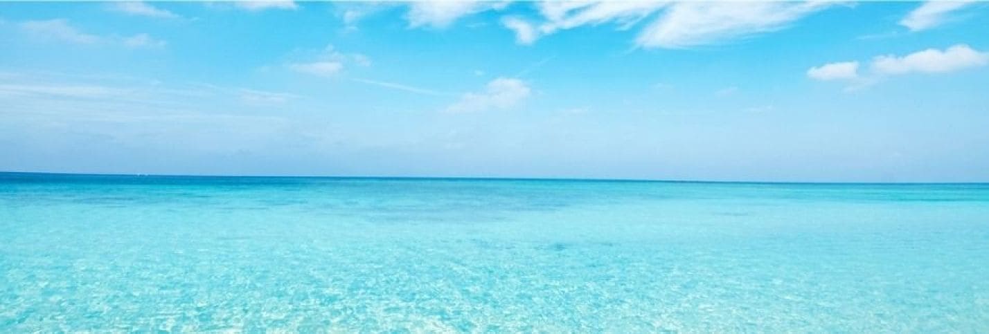 ～ 想像してみよう～