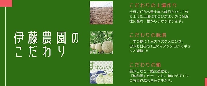 千葉県旭市こだわりづくしのマスクメロン通販　伊藤農園