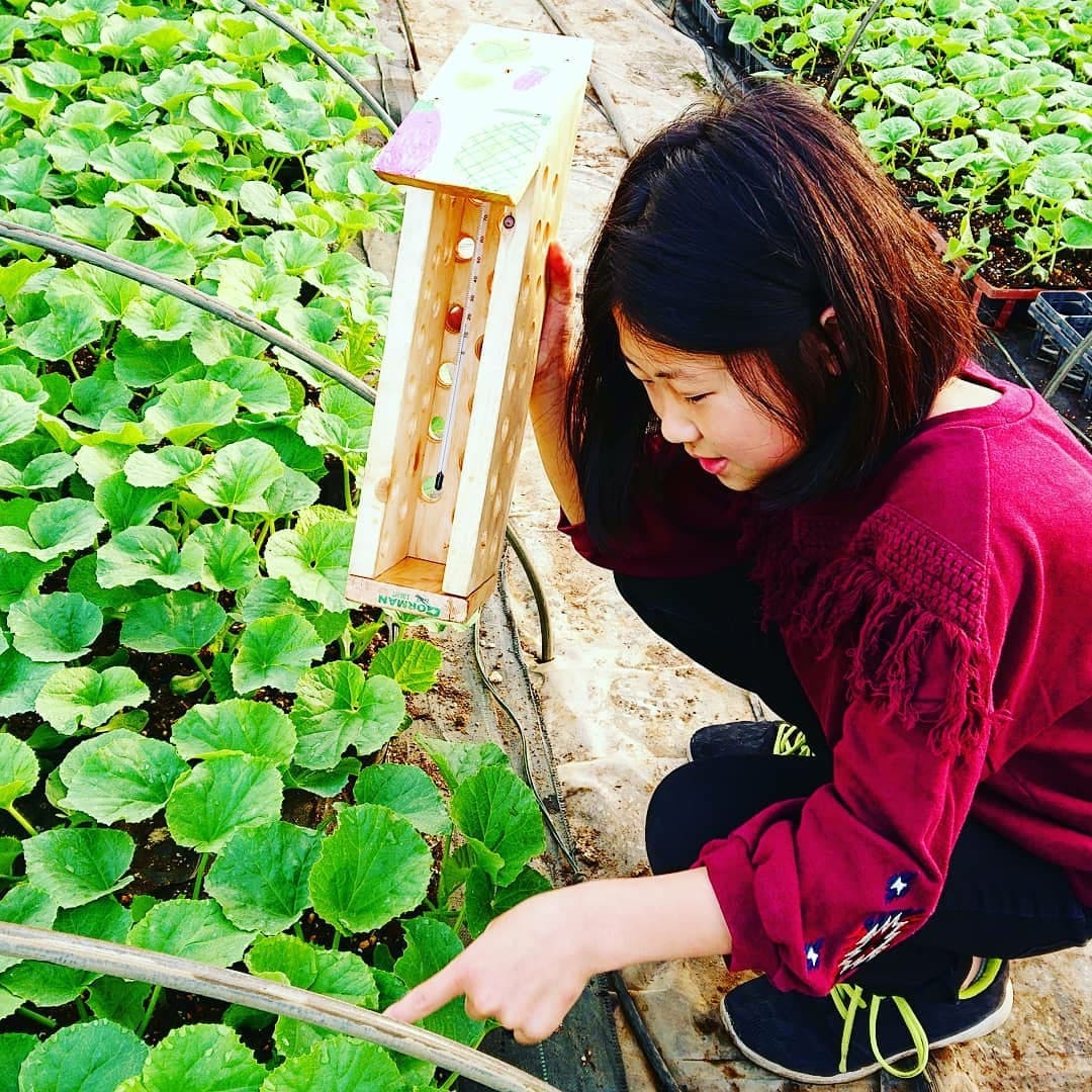 千葉県旭市こだわりづくしのマスクメロン通販　伊藤農園