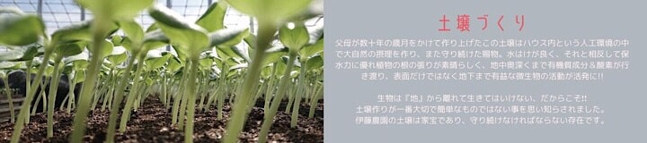 千葉県旭市こだわりづくしのマスクメロン通販　伊藤農園　土壌づくり