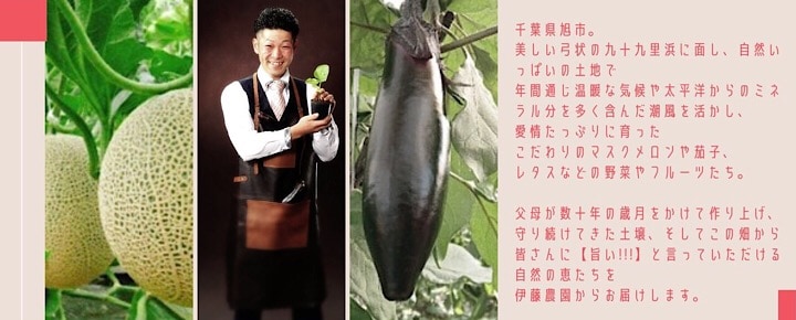 千葉県旭市こだわりづくしのマスクメロン通販　伊藤農園