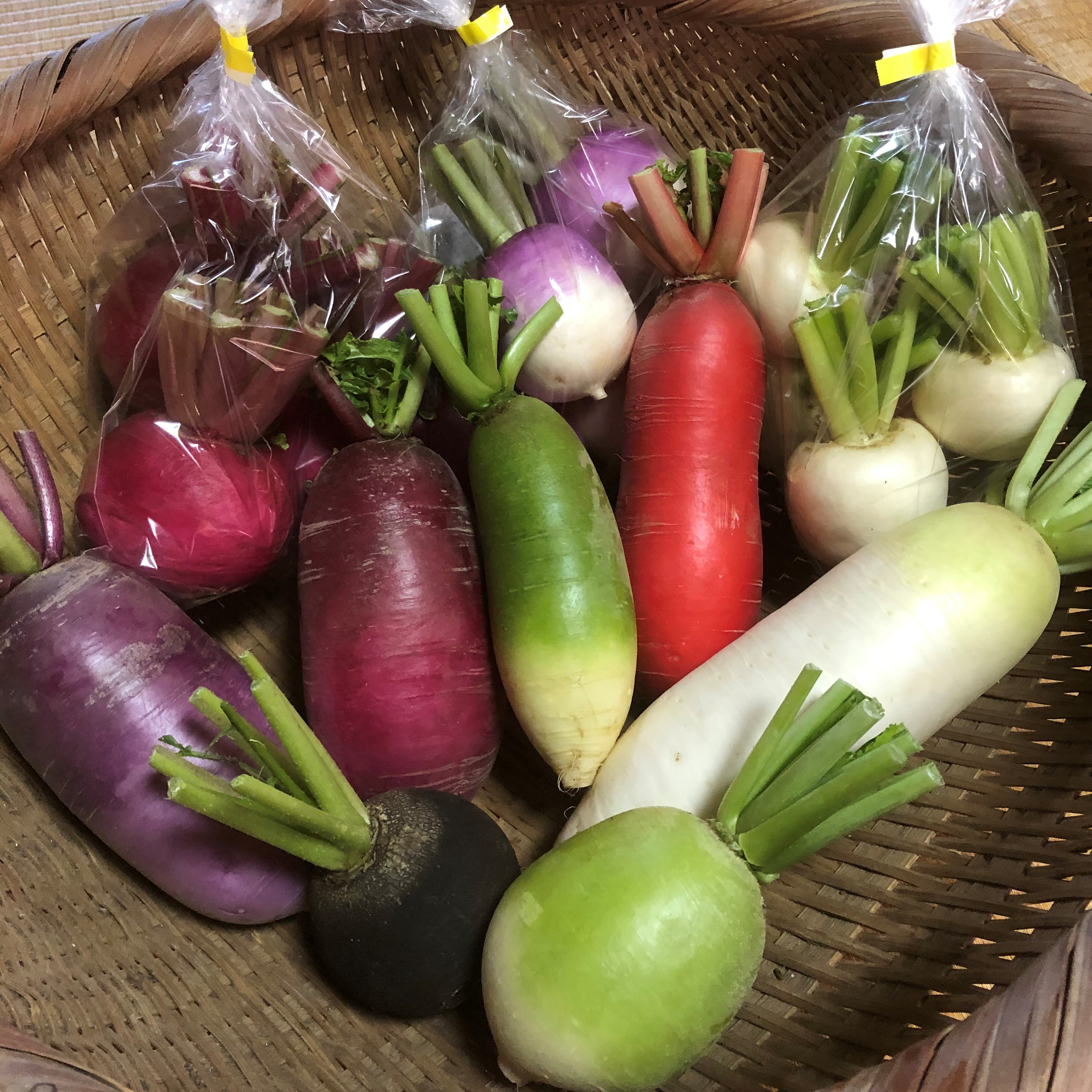 カラフル野菜通販 雲仙つむら農園 カラフル大根 かぶ