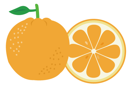 農家直送のいちじく通販｜井村食彩園　イチジク　無花果　通販　みかん　お米　井村食彩園