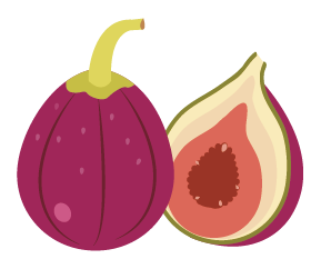 農家直送のいちじく通販｜井村食彩園　イチジク　無花果　通販　みかん　お米　井村食彩園