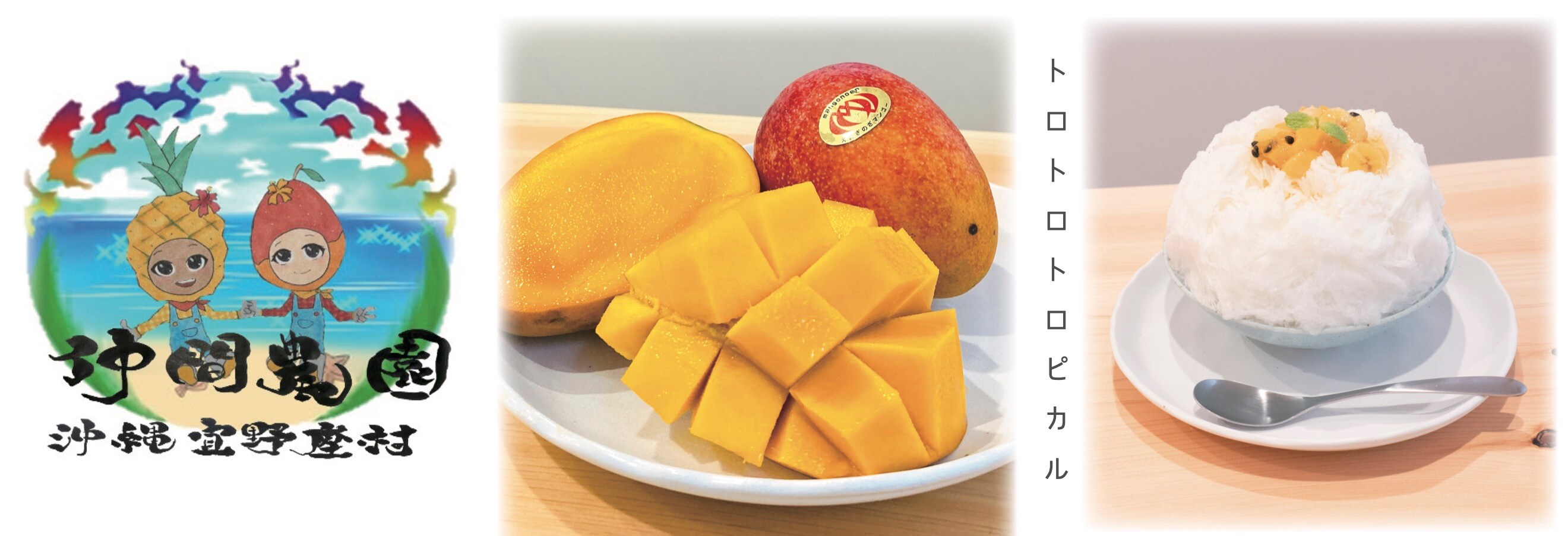 仲間農園北海道札幌かき氷専門店ナナシノ氷菓店