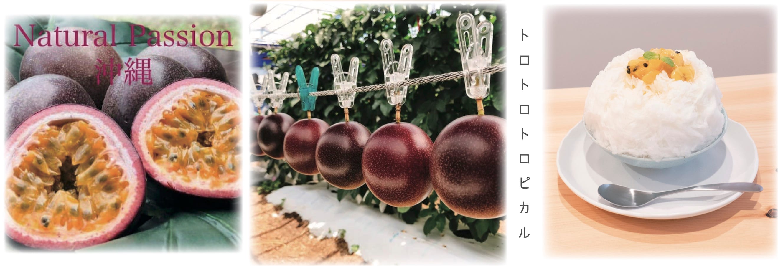 ナチュラルパッション沖縄北海道札幌かき氷専門店ナナシノ氷菓店