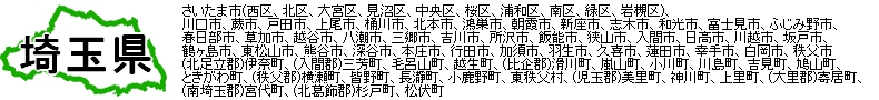窓ガラスフィルム_埼玉県|さいたま市(西区、北区、大宮区、見沼区、中央区、桜区、浦和区、南区、緑区、岩槻区)、川口市、蕨市、戸田市、上尾市、桶川市、北本市、鴻巣市、朝霞市、新座市、志木市、和光市、富士見市、ふじみ野市、春日部市、草加市、越谷市、八潮市、三郷市、吉川市、所沢市、飯能市、狭山市、入間市、日高市、川越市、坂戸市、鶴ヶ島市、東松山市、熊谷市、深谷市、本庄市、行田市、加須市、羽生市、久喜市、蓮田市、幸手市、白岡市、秩父市、(北足立郡)伊奈町、(入間郡)三芳町、毛呂山町、越生町、(比企郡)滑川町、嵐山町、小川町、川島町、吉見町、鳩山町、ときがわ町、(秩父郡)横瀬町、皆野町、長瀞町、小鹿野町、東秩父村、(児玉郡)美里町、神川町、上里町、(大里郡)寄居町、(南埼玉郡)宮代町、(北葛飾郡)杉戸町、松伏町