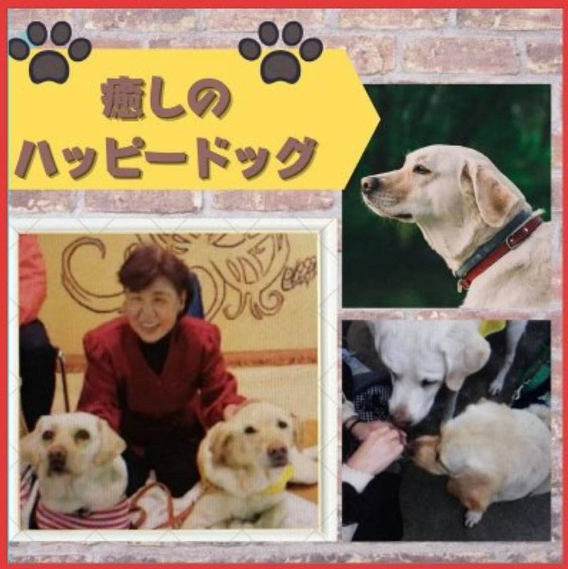 癒しのハッピードッグ