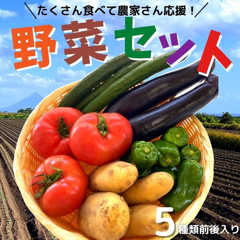 【枕崎産】オープネスセレクト旬のお野菜セット