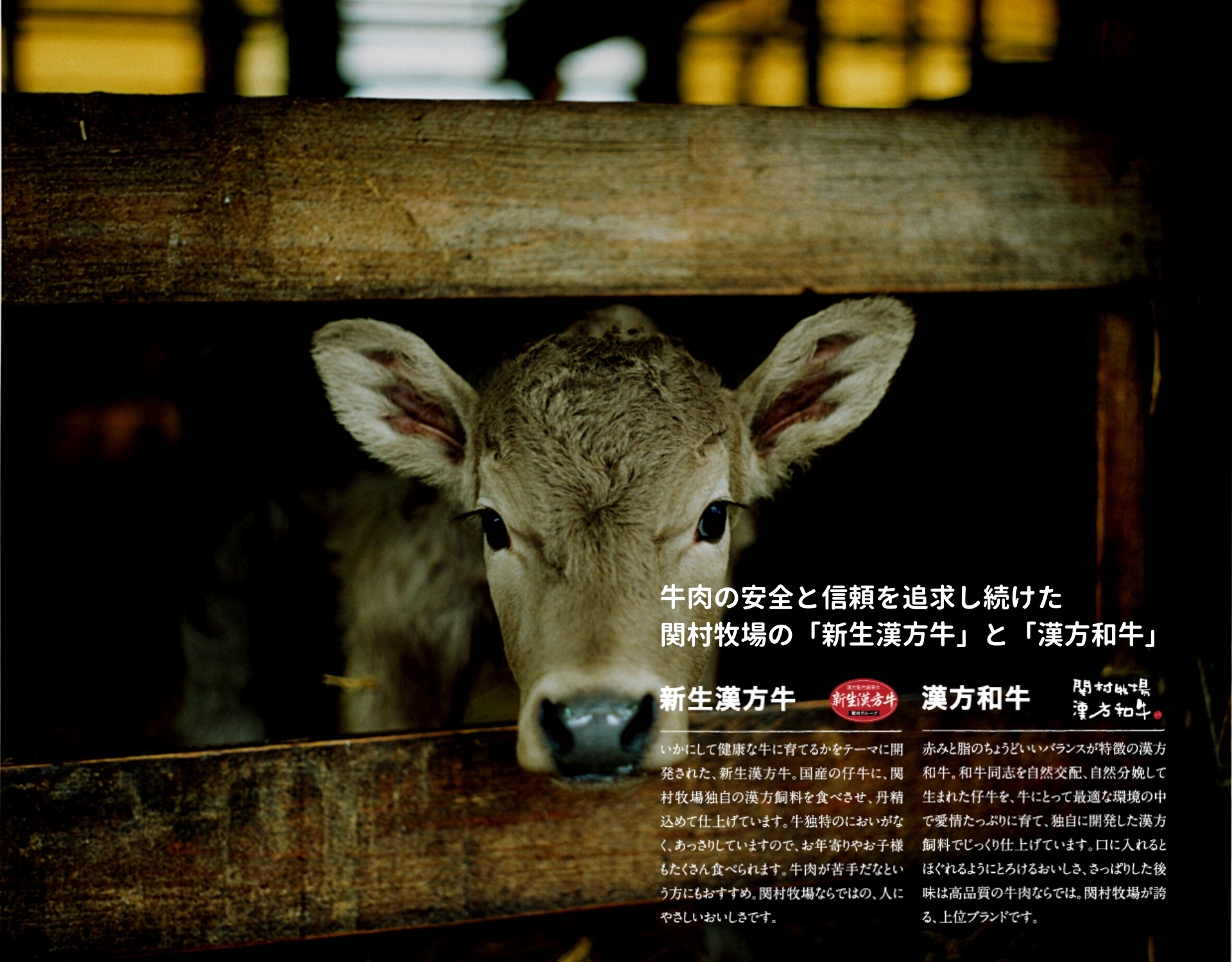 宮城県のおいしい米なら【関村畜産】の漢方米。幸之助の米・玄米は関村牧場で大切に育てられる漢方和牛を育てる関村牧場オリジナル飼料、14種類の漢方飼料を有効活用し栽培した有機栽培米です。幸之助の米は粘りと甘味のある冷めてもおいしい米です。漢方米を宮城県から全国に通販でお届けいたします。宮城県の代表銘柄「ひとめぼれ」に漢方飼料を使った、有機栽培米は安心でおいしい。本当に健康でおいしいを追求し続ける関村牧場だからこそ提供することのできる宮城県産のおいしい米・玄米です。