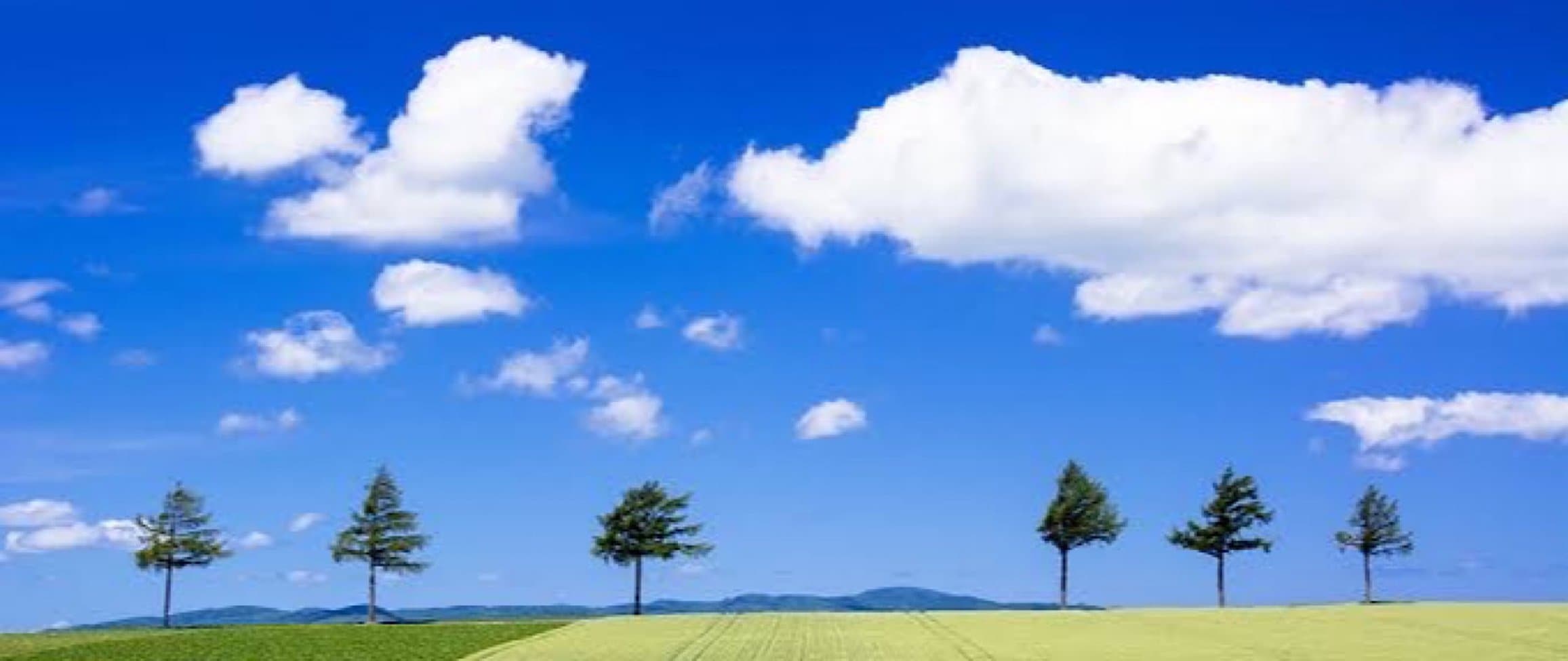 COCO KAZE　健康の専門家